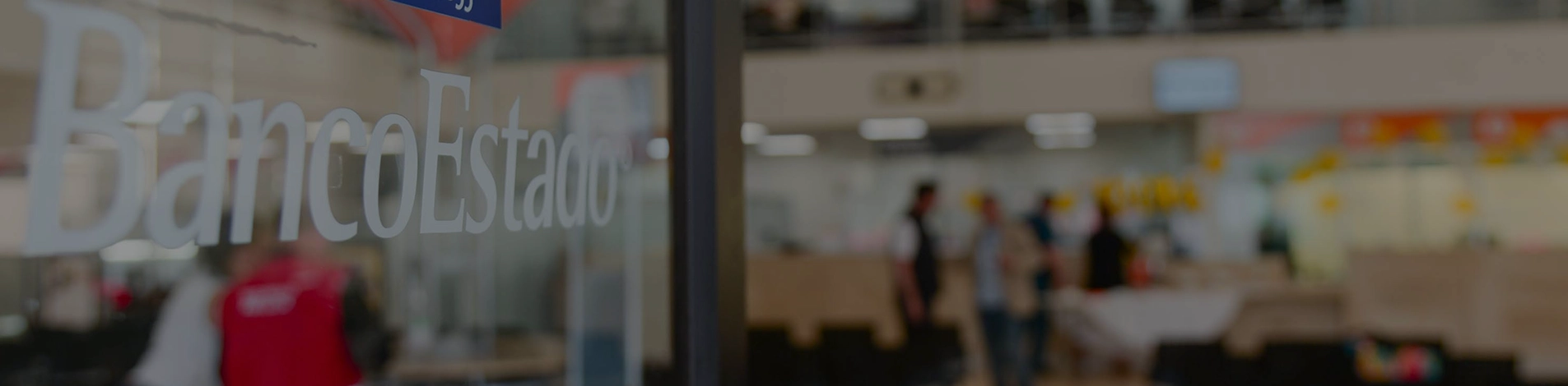 Áreas de Especialidad