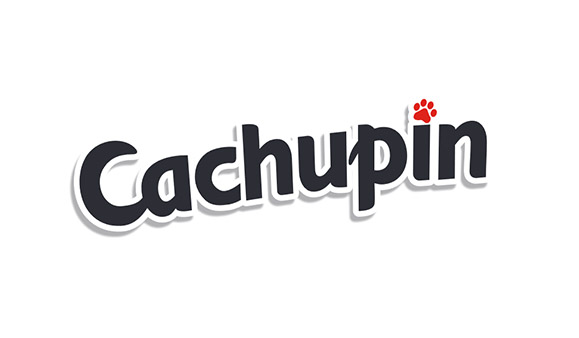 cachupin logo