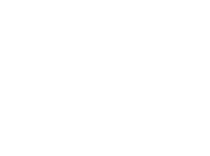 logo tarapaca