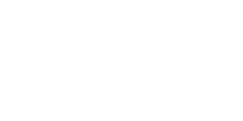 New Holland