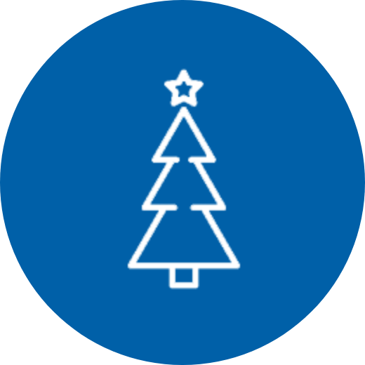 Bono Navidad